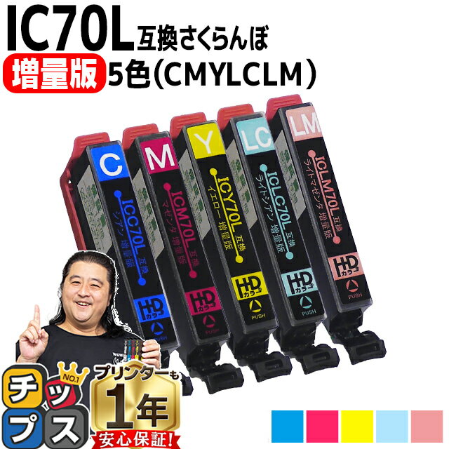 増量版 エプソン用 IC70 さくらんぼ 5