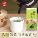 【 新茶になりました! 】 知覧茶 煎茶 深蒸し茶 特選 90g 送料無料 | 緑茶 茶葉 深蒸し お茶 カテキン 知覧さくら商店 茶 知覧 ちらん 日本茶 鹿児島 知覧特攻平和会館 ギフト プレゼント 母の日にも