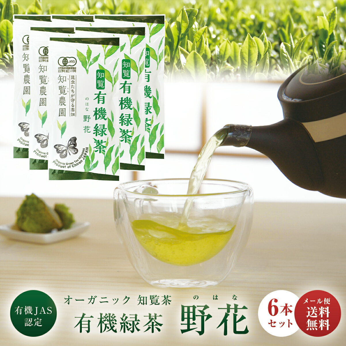【送料無料】知覧農園 有機緑茶 野花 100g × 6本 セット | 有機 オーガニック お茶 茶葉 深蒸し茶 煎茶 緑茶 知覧茶 鹿児島 知覧さくら商店 ギフ...
