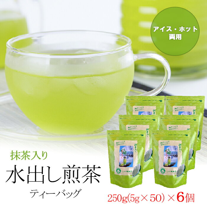 お茶 抹茶 緑茶 ティーバッグ◆まとめ買い◆ 抹茶入り水出し煎茶ティーバッグ(250g)×6個 大容量 水出し緑茶 水出し茶 抹茶 送料無料 知覧茶 かごしま茶 健康茶 鹿児島 添加物不使用 宇治抹茶 カテキン アイス ホット 両用 当店オススメ ホット ソイロンのサムネイル