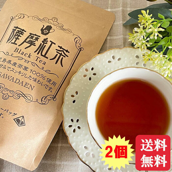 【2個セット】 無添加 薩摩紅茶ティーバッグ 3g×20 和紅茶 ティーパック 国産紅茶 紅茶 添加物不使用 無糖飲料 無糖 BLACKTEA ブラックティー アイスティー ティータイム tea かごしま 巣ごもり消費 おしゃれ 送料無料 鹿児島紅茶 かごしま紅茶