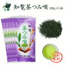 【送料無料】知覧茶つみ唄【100g×5