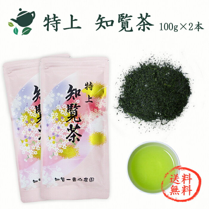 【スーパーSALE15％OFF】【送料無料】特上知覧茶【チャック付袋入り・100g 2本】 / 鹿児島茶 かごしま茶 ちらん茶 日本茶 お茶 緑茶 深蒸し茶 新茶 煎茶 茶葉 カテキン