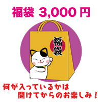 【数量限定】シークレット福袋3000円
