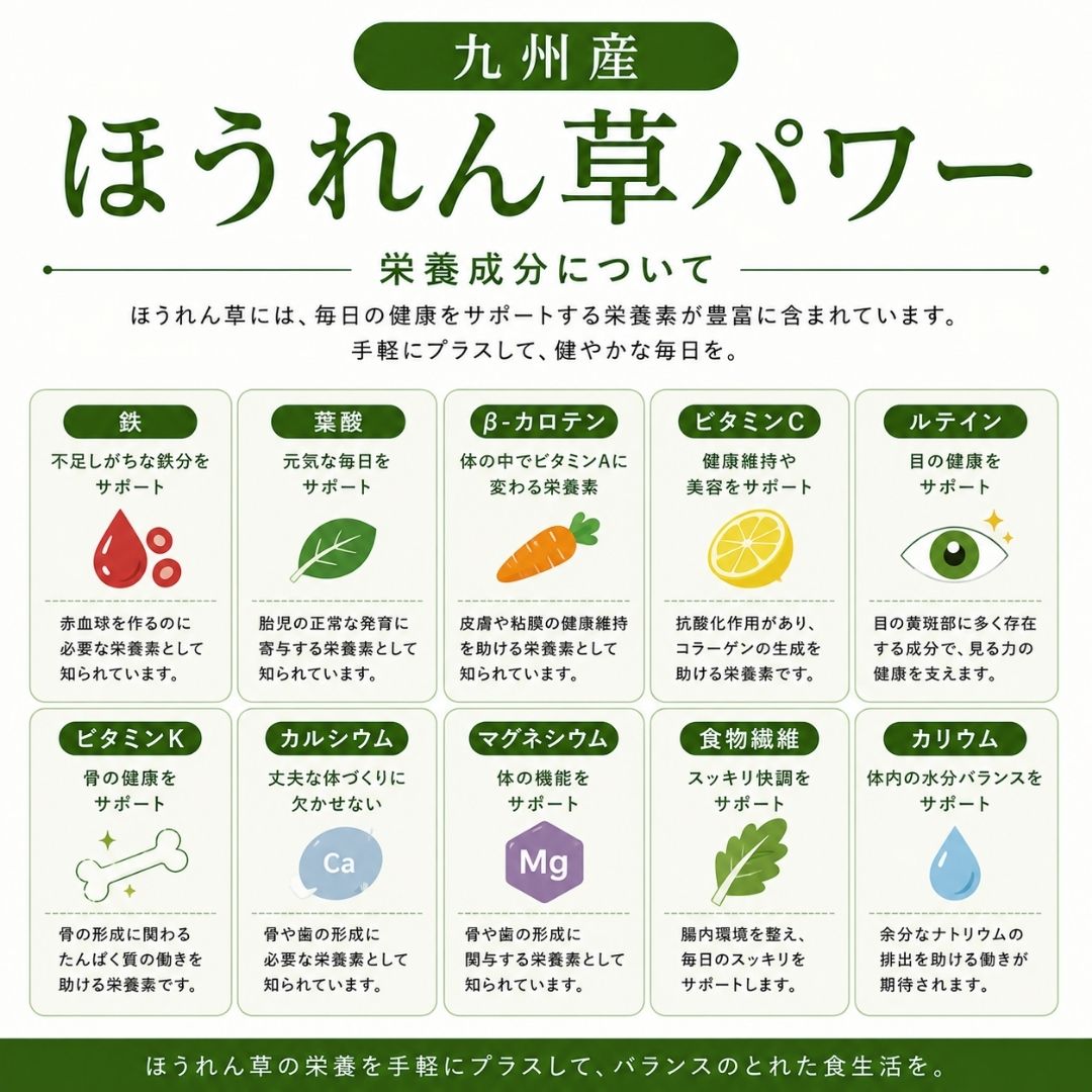 ほうれん草パワー 1袋 100g ちりつもパワーシリーズ 国産 素材100% 九州産 葉酸 鉄...