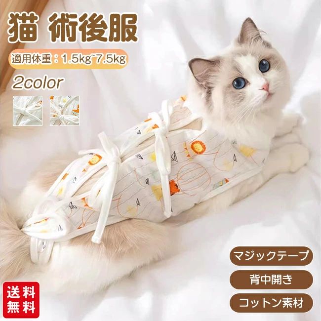æ���ʤ� ���� ���Ӥ��ɻ� ǭ�Ѹ��� �ޥ��å��ơ��� �ڥå��� ������� �ڥå��ѽѸ��� ����� µ�ʤ� ���泫�� ǭ���� �ղ� ���� ������ �᥹
