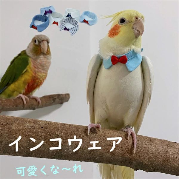 鳥 調整可能 軽量 ペット用品 安心感 ペット雑貨 インコ 小動物 インコウェア サイズ選択 首輪 ソフト 安全素材で作り 無地 かわいい