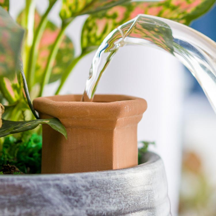 水やり当番 自動水やり器 鉢植え 植物 野菜 ガーデニング用品 水差し 自動 水やり ...