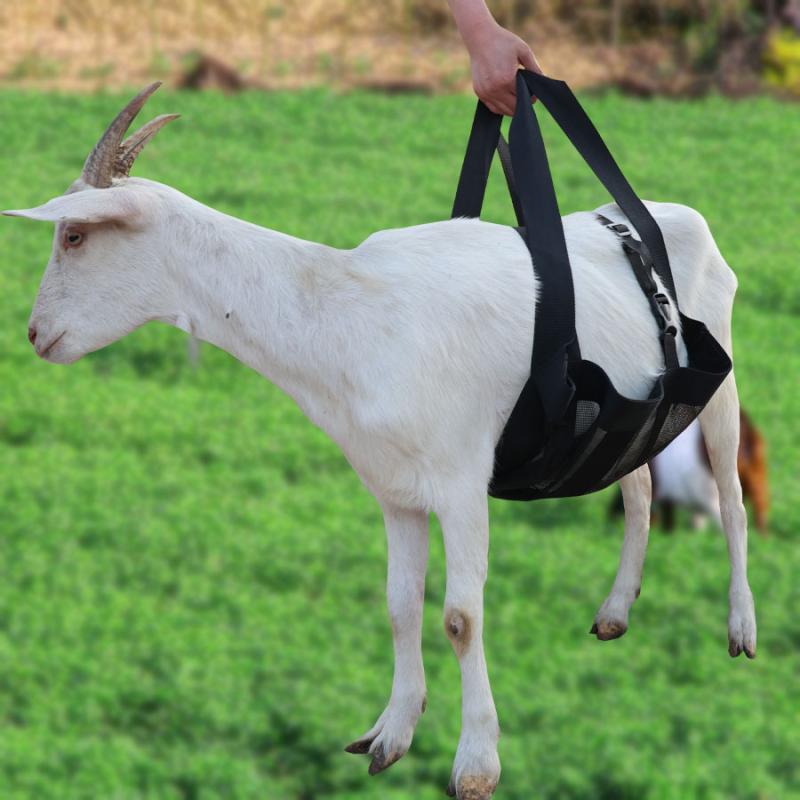 動物用計量スリング 牛 羊 子牛 子羊 家畜 犬 ペット用 調節可能 吊り下げ式 体重測定ハーネス 頑丈 丈夫 ポータブル 安定 黒