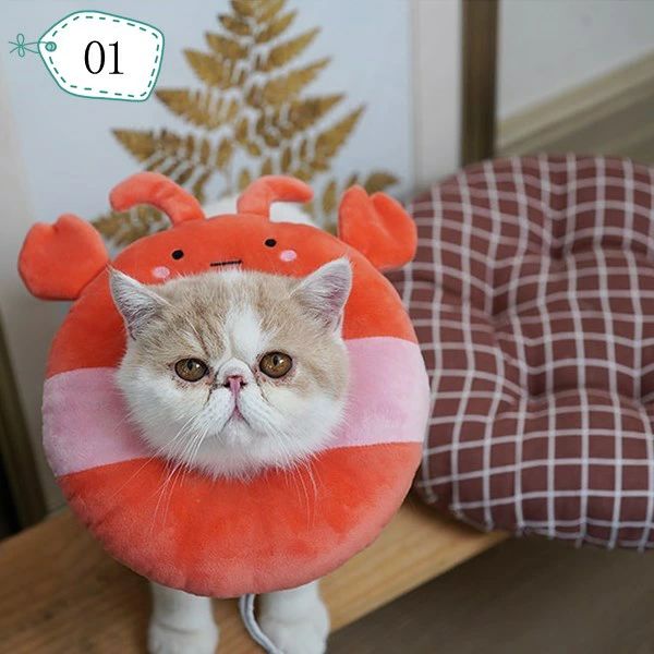 術後の必需品 6colour ペット ストレス軽減 S L送料無料 猫エリザベスカラー！S L ...