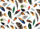白磁用転写紙 フェザー / feather カラフル peacock ピーコック 鳥の羽 クジャク 孔雀 フェザー 野鳥 鳥好き 木の実 bird バード トリ