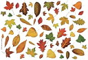 白磁用転写紙Q 新入荷!9024オータムリーブズ / 秋 紅葉 イチョウ 枯葉 銀杏autumn 葉っぱ リーフ 草木 自然 イラスト q0