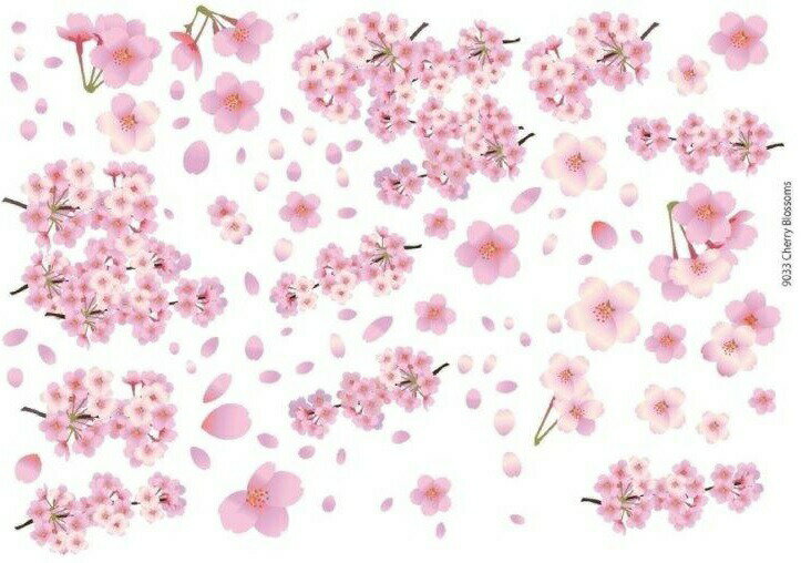 白磁用転写紙Q 9033満開の桜/ 着物　帯 ひな人形　雛