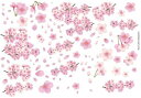 白磁用転写紙Q 9033満開の桜/ 着物 帯 ひな人形 雛人形 ひなまつり ひな祭り おひなさま お雛様 桃の節句 和柄 和風 日本 桜 春 女の子 お正月 和食器 お重 ピンク お花見 sakura 梅q0