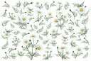 白磁用転写紙Q 新入荷!9098カモミール / chamomile herb ハーブ ガーデン 白ホワイト 花柄 flower フラワー プレゼントq0