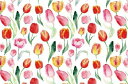 白磁用転写紙Q 新入荷!9116 チューリップ / tulip 花柄 フラワー flower フローラル 花束 エレガント 春 カラフル 水彩画 女の子 ブラン...