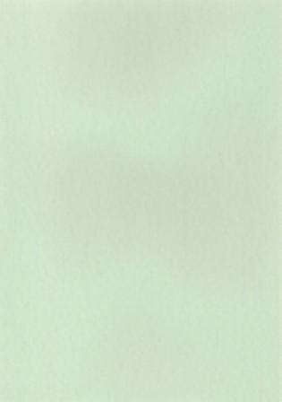 【転写紙】無地（ペパーミント）/ 緑 黄緑 色 グリーン green