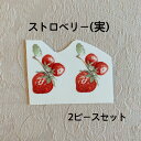 新入荷!【転写紙】ストロベリー・パーツ(実)2ピース