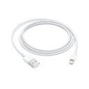 【中古】アップルApple iPhone ケーブル 純正Lightning ケーブル(1m) iPad mini iPad Air iPhone等 DC5.1V 2.1A急速充電器/iPad本体標準付属品【送料無料】【郵便ポスト投函商品】