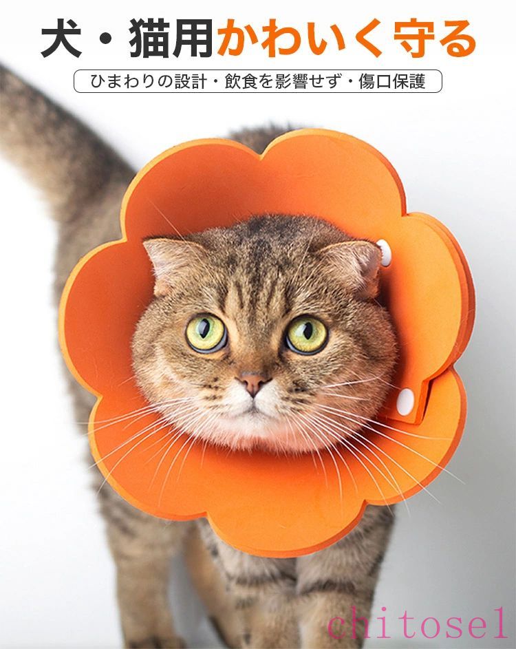 期間限定5%クーポン ★5の日 ★全品 &P5 2枚セット 猫用 ソフトエリザベスカラー 柔...