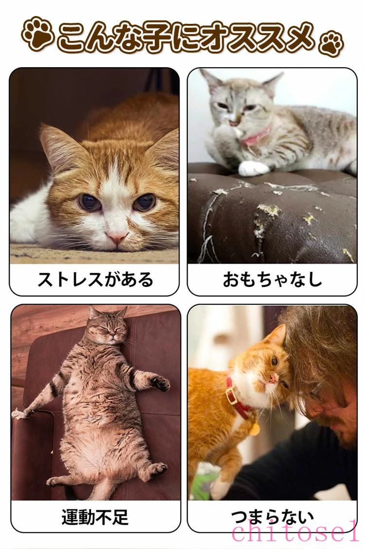 期間限定5%クーポン ★5の日 ★全品 &P5 キャットトンネル 折りたたみ式 3タイプ ね...