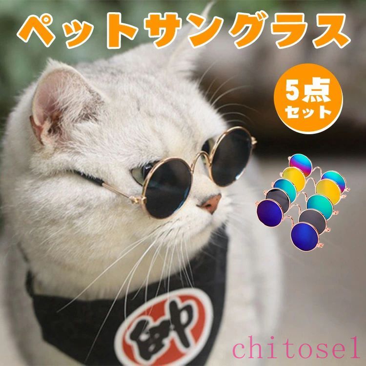 �ڡ�5���������������10%OFF&P5�ۥڥå��ѥ��󥰥饹 �߷� �����5�����åȡ� �ᥬ�� ���������꡼ ���顼��󥺥ᥬ�� ǭ�� ���� �ͥ� ���� �ڥå�...