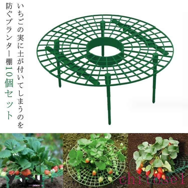 乐天商城 - 期間限定5%クーポン イチゴ棚 イチゴ プランター 棚 chitose1 10個セット 高さ10cm 苗棚 苺苗棚 栽培棚 支え棚 園芸支柱 いちご プランター棚 いちご支え 使いやすい 日常使い シンプル