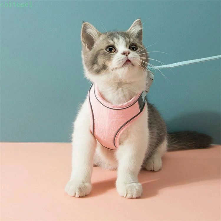 期間限定5%クーポン 軽量 マジックテープで装着 猫用 ハーネス chitose1 リードセ...