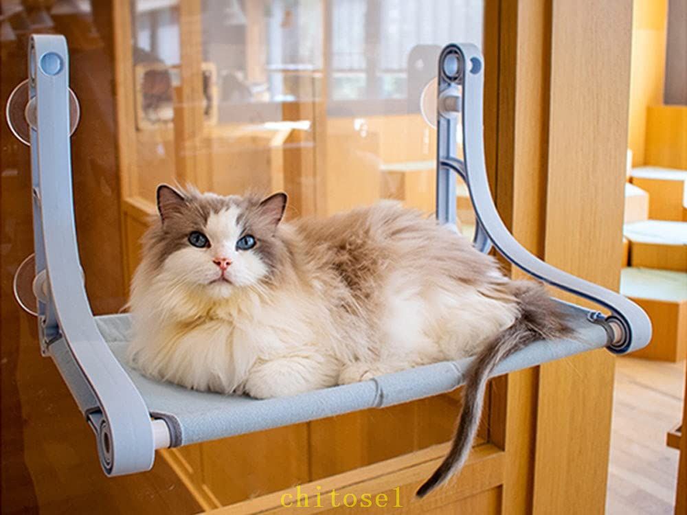 Cages - 期間限定5%クーポン 猫 猫窓ベッド ペット ハンモック 窓 ベッド 吸盤式 耐荷重20kg 取り付け簡単 強力な吸盤 窓掛け 窓ハンモック 吊りベッド 日光浴 ネコ用 キャット ねこ 室内用 睡眠 運動 休憩 四季兼用