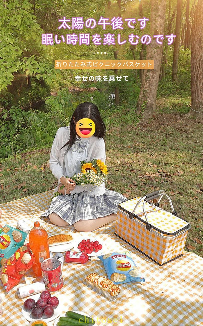 期間限定5%クーポン ピクニックバッグ 保温バ...の紹介画像3