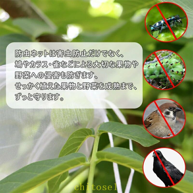 期間限定5%クーポン 防虫ネット 果物保護ネット 野菜 ネット 鳥虫害対策 防鳥 虫除...