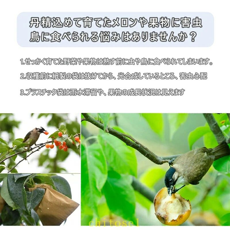 期間限定5%クーポン 防虫ネット 果物保護ネット 野菜 ネット 鳥虫害対策 防鳥 虫除...