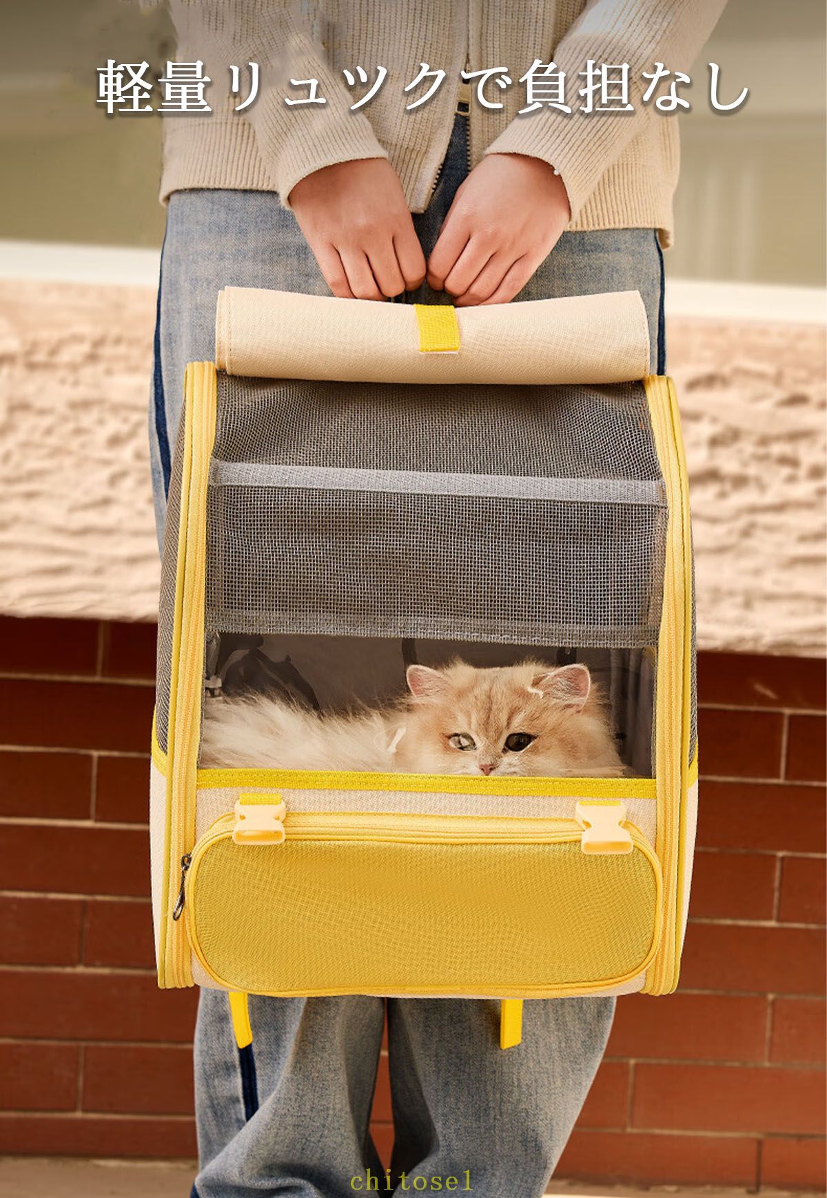 期間限定5%クーポン ペットリュック リュック キャリーバッグ 猫 犬 キャリー ロッ...