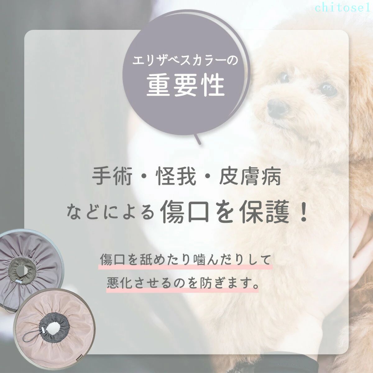 期間限定5%クーポン 撥水 折りたたみ 防水 軽量 chitose1 コンパクト 持ち運び 介...