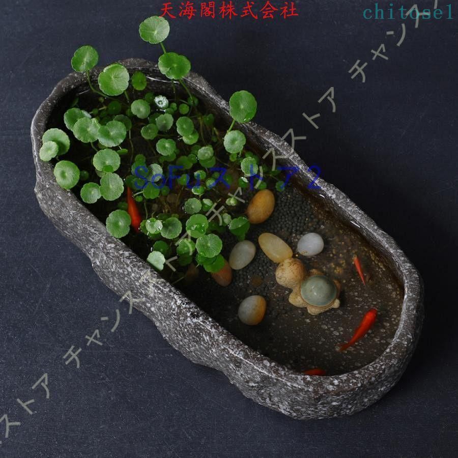 期間限定5%クーポン植木鉢浅型アン...