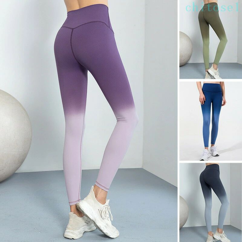 ξ�̥֥�å��� ����ǡ������ �ϥ��������� �쥮�� ��ǥ����� ������쥹 �ե��åȥͥ�