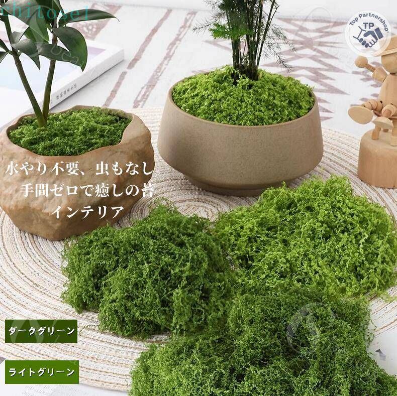 Rakuten - 期間限定5%クーポン DIY園芸素材 リアル人工苔マット フェイクグリーン 盆栽 chitose1 観葉植物用 装飾用人工芝 人工モスマット ミニチュア庭園 テラリウム 家庭用 多機能 実用的 使いやすい シンプル 便利