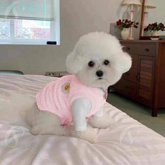 背中開き 背中開き 犬服 イエロー 小型犬 冬...の紹介画像2