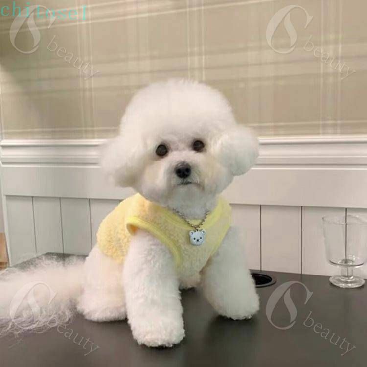 背中開き 背中開き 犬服 イエロー 小型犬 冬...の紹介画像3