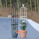 バラ用オベリスク園芸オベリスク植木鉢植物支柱黒/白ミニオベリスク朝顔薔薇ミニトマト棚つる花アイビー錦家庭菜園耐候性(Color:白Size:高