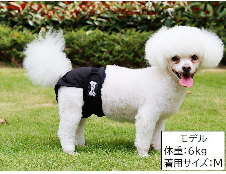 期間限定5%クーポン おむつカバー 犬用サニタリーパンツ マナーパンツ 生理パンツ chitose1 女の子 ブラック 黒 いぬ イヌ メス 小型 中型 大型 ドッグウェア ペット用品 ペットグッズ マジック テープ 3