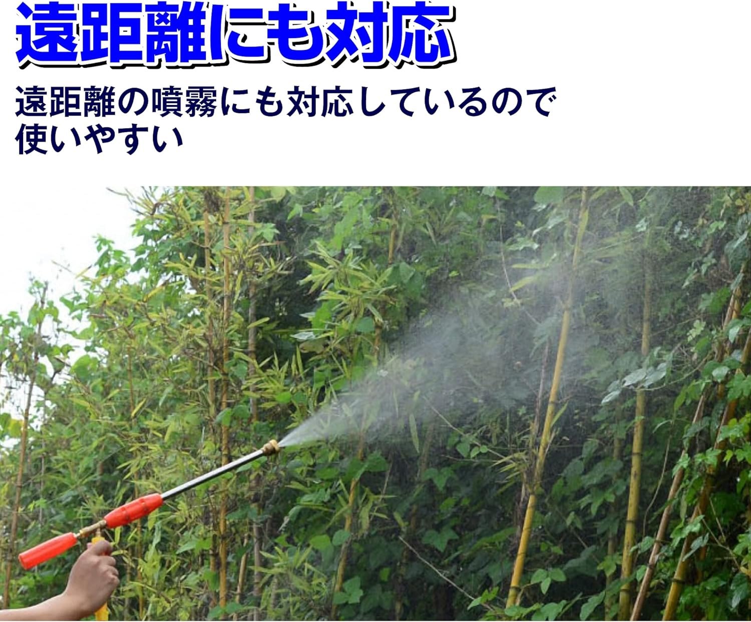 ���ָ���5%�����ݥ� ʮ̸�� �Υ��� ���Υʮ̸ ʮ̸��Ĵ����ǽ �������� ����