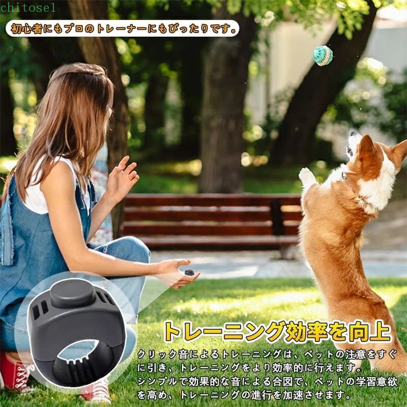 ����å��� �ڥåȥȥ졼�˥� ���ߥ�˥��������ġ��� ���Ĥ����� �� ǭ Ļ ���� ���� �ȥ졼�˥� �ڥå����� �ڥåȥ��å� ���� ���� �ɥå� ƻ�� ���Ф��� ������ ����ץ�