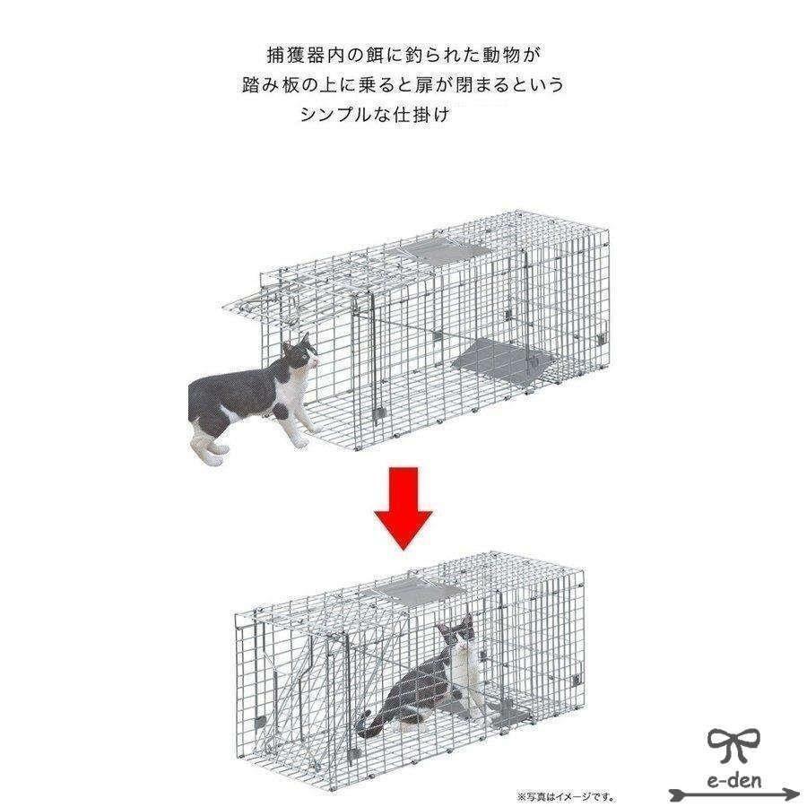 期間限定5%クーポン 捕獲器猫アニマルトラップトラップ 錦 駆除捕獲踏板式捕獲機動...