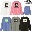 m[XtFCX OX[uobNXNGASeB[ L/S Back Square Logo Tee NT82333 jZbNX 2023AW 䂤pPbg([)Ή