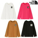 ノースフェイス ロングスリーブスモールスクエアロゴティー L/S Small Square Logo Tee NTJ32357 キッズ ジュニア 2023AW ゆうパケット(メール便)対応