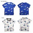 【返品・交換不可】ゴーセン 2020年夏企画Tシャツ ぽちゃネコ バドミントン SummerFestival バドミントン夏祭り NPT37 2020SS セー...