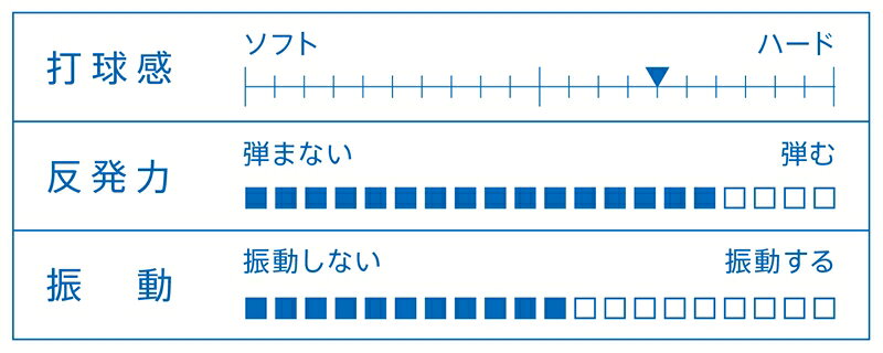 取寄品 Victas ダイナム 9.0 300051 卓球