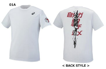 アシックスプリントTシャツ XW6735バレーボール バレー ウエア 練習着 半袖メンズ ユニセックス 男女兼用 ジュニア 子供用ASICS 2017AW ゆうパケット(メール便)対応