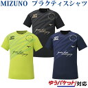 ミズノ グラフィックTシャツ V2MA0091 メンズ ユニセックス 2020SS バレーボール Tシャツ ゆうパケット(メール便)対応 練習着 半袖